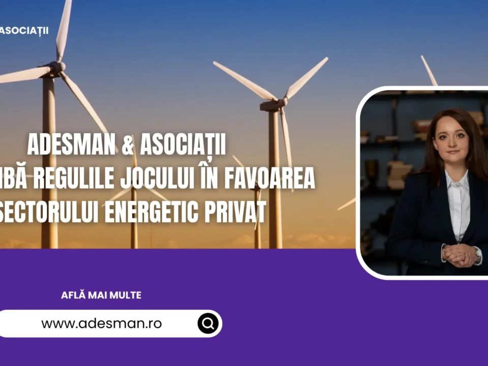 sectorul energetic privat