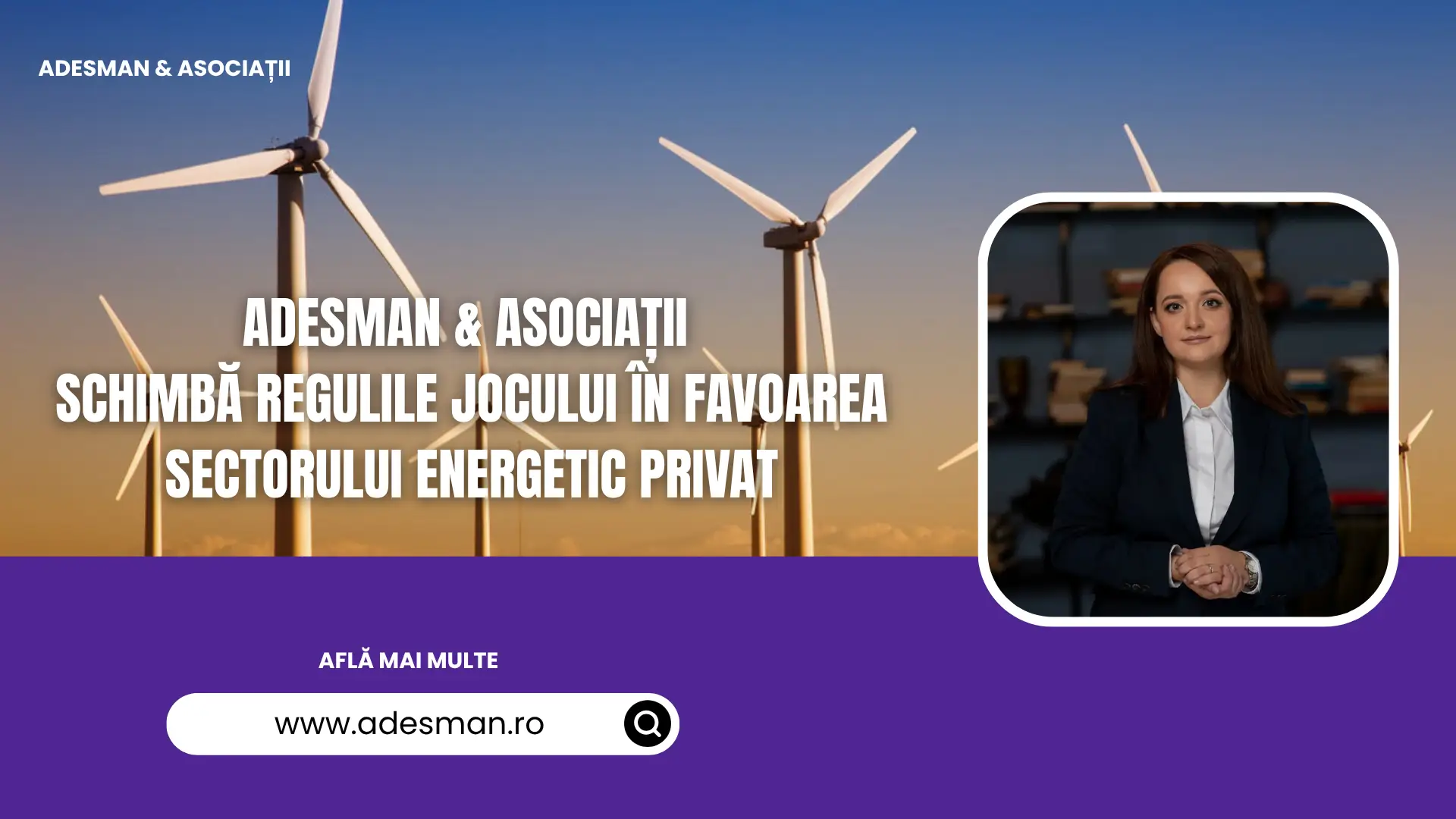 sectorul energetic privat